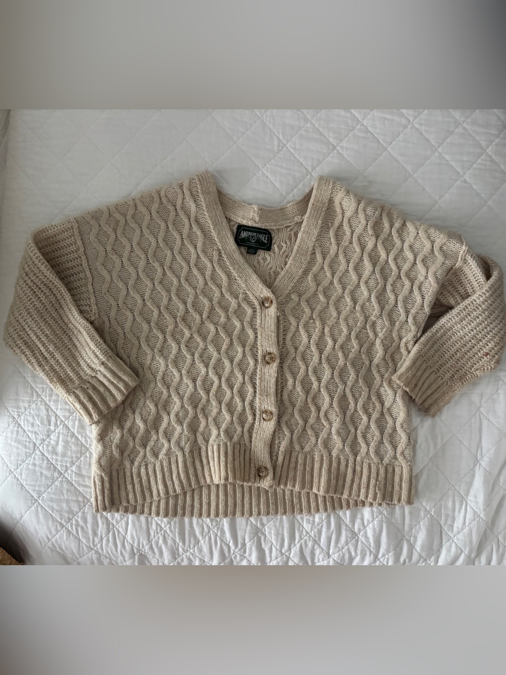 Vintage American Eagle Cable Knit Cardigan